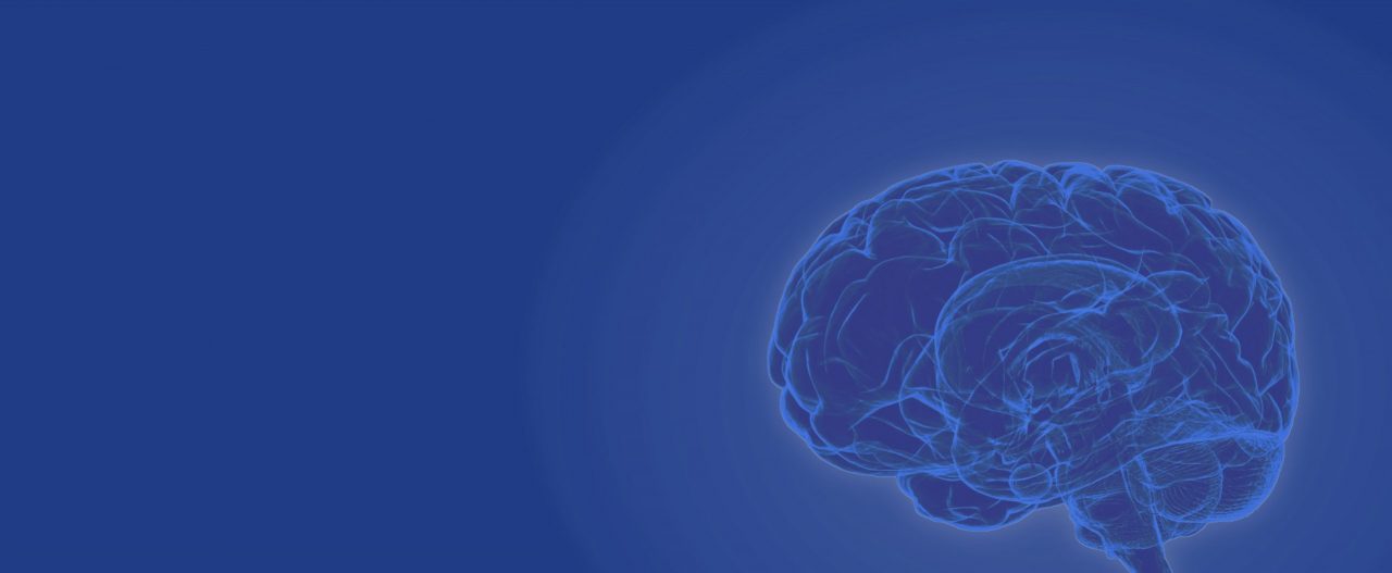 Brain header graphic